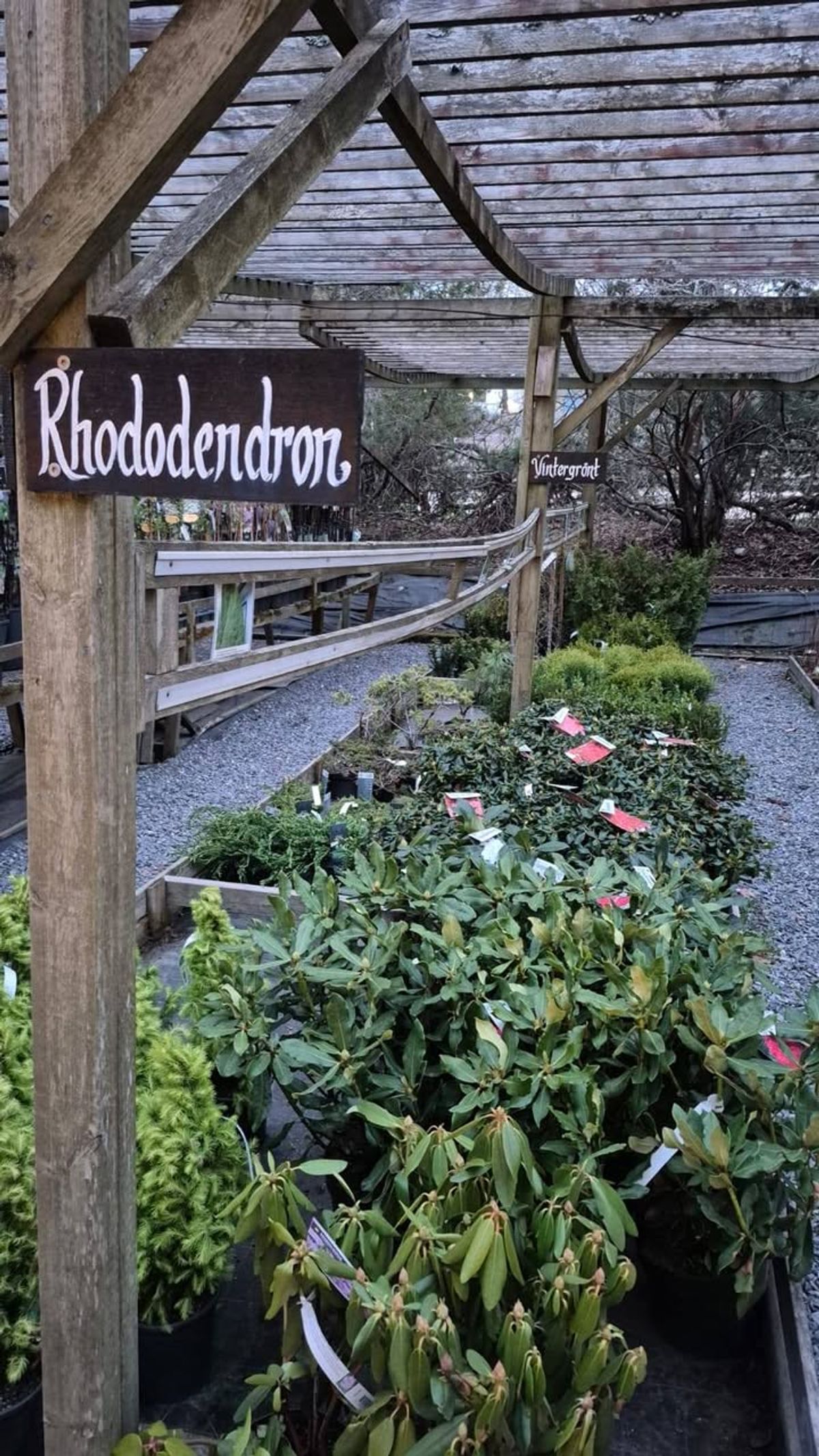 Bild från Wedins Trädgård